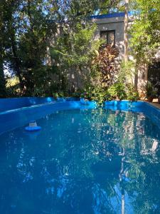 una piscina di acqua blu in un cortile con alberi di Arboleda a Jardín América