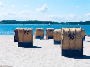a row of beach chairs on the beach at Sealine Laboe in Laboe