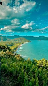 a view of a beach with trees and the ocean at Drop House Hostel in Ubatuba