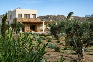 En have udenfor Casa Di Nikolas Plaka Naxos