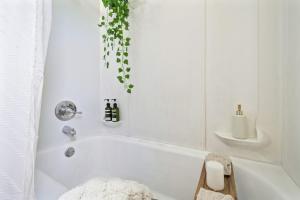 a white bathroom with a bath tub with a plant at 1BR Near UofA, Work Desk, Gem Show Friendly in Tucson