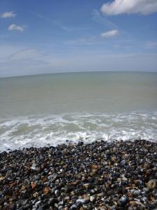 une plage rocheuse avec l'océan en arrière-plan dans l'établissement La Crielloise, à Criel-sur-Mer