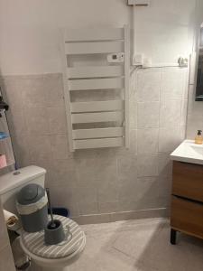 a bathroom with a shower with a toilet and a sink at Petite maison au coeur des Hautes-Alpes in Aspres-sur-Buëch +4 photos