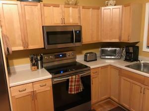 a kitchen with a stove and a microwave at Serene Cabin Overlooking Large Pond in Brevard