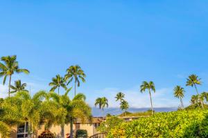 Naturlandskabet i nærheden af lejligheden