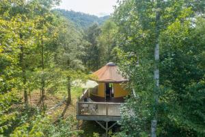 een boomhut midden in een bos bij Summerset Ridge - 100 Acre Reserve, River Access, and Endless Adventure! in Cullowhee