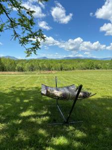 a chair sitting in the grass in a field at Redwing Farm Cottage - Mountain Views and Firepit! in Bedford