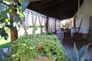 Gallery image of Domus Aurea in Torrevecchia Teatina