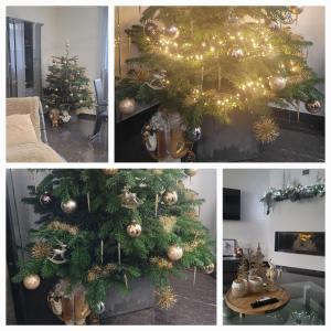 a collage of photos with a christmas tree in a living room at Luxury Appartement Marz, Europa Park-Rulantica in Mahlberg