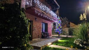 a christmas tree on the side of a house at night at JetNest in Niš