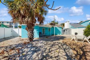 een palmboom voor een blauw huis bij Sea's The Day in Anna Maria