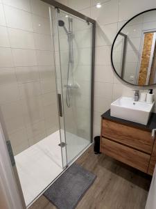 un baño con ducha y lavabo en Loft 6 pers Chaleureux avec Patio et Wifi, en Ceyrat