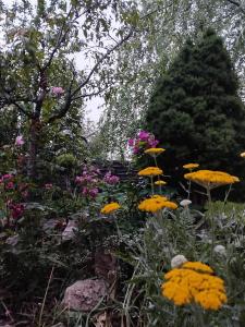 Φωτογραφία από το άλμπουμ του Chez MariLou σε Amberieu-en-Bugey