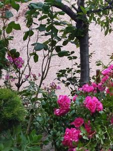 Φωτογραφία από το άλμπουμ του Chez MariLou σε Amberieu-en-Bugey +6 φωτογραφίες