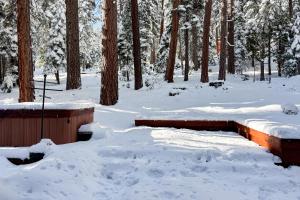 Tahoe Alpine and Lake Escape v zimě