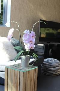 TV a/nebo společenská místnost v ubytování Table et chambre particulière