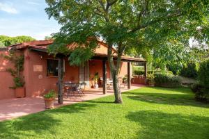 Κήπος έξω από το Podere Cavone - Casale degli Ulivi