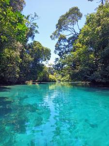 Příroda nedaleko ubytování na lodi