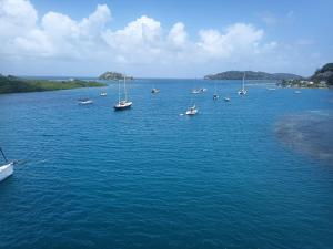 Příroda nedaleko ubytování na lodi