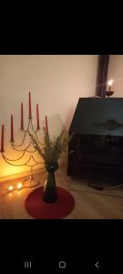 Galería fotográfica de Soul en Bela Crkva