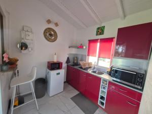Au Paradis des oiseaux في سانت فرانسوا: مطبخ مع دواليب حمراء ومغسلة وميكروويف
