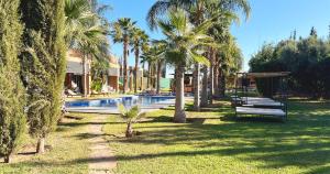 uma piscina com palmeiras e um baloiço em Maison d'Hotes Oasis Marrakech Route dOuarzazate em Oulad Akkou
