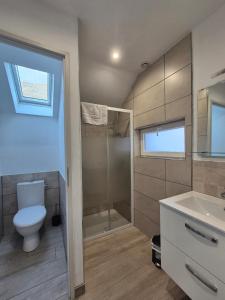 a bathroom with a toilet and a shower and a sink at Grand appartement vue montagne in Ayzac-Ost