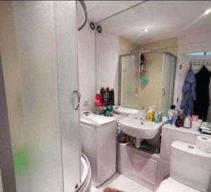 a bathroom with a toilet and a sink at Butas Putinuose in Alytus