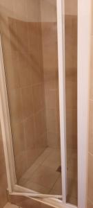 a shower with a glass door in a bathroom at Relax Wellness Apartman in Pusztavacs