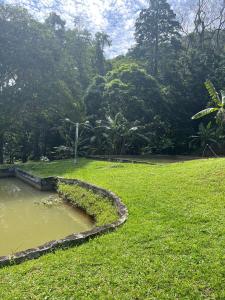 Příroda nedaleko chaty