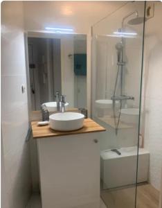 a bathroom with a sink and a shower at T2 Port Frejus Grand Garage Prive in Fréjus