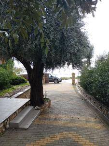 En have udenfor Δίπλα στο κύμα -Βeside the wave + 2 billeder