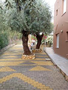 Billede fra billedgalleriet på Δίπλα στο κύμα -Βeside the wave i Loutrá Elevtherón