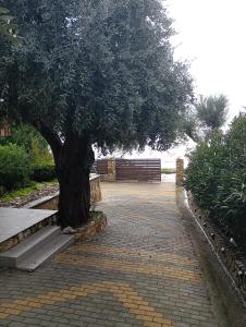 Billede fra billedgalleriet på Δίπλα στο κύμα -Βeside the wave i Loutrá Elevtherón