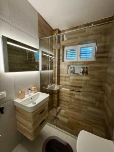 een badkamer met een toilet, een wastafel en een douche bij Red House Apartment in Kotor