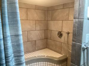 a bathroom with a shower with a tub in it at Pet Friendly 2BR • King+Queen • Full Kitchen in Adamstown +7 photos