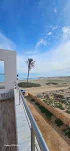 a walkway to the beach with a palm tree at Beach house in Zarzis +13 photos