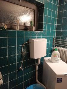 Koupelna v ubytování Quiet location in Schönau, free parking, balcony