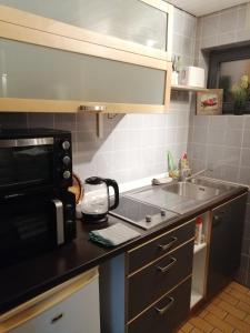 Kuchyň nebo kuchyňský kout v ubytování Quiet location in Schönau, free parking, balcony