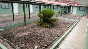 una palmera sentada dentro de un edificio en Hotel BR, en Videira
