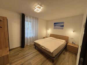 ein Schlafzimmer mit einem Bett und einem großen Fenster in der Unterkunft Sweet Alps in Tirano