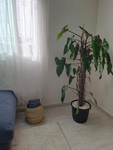 Фотография из галереи iris appart vue dégagée, bon emplacement в городе Сале