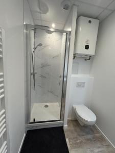 Koupelna v ubytování Petit cocon à 5 min du marché de Noël + 3 fotografie