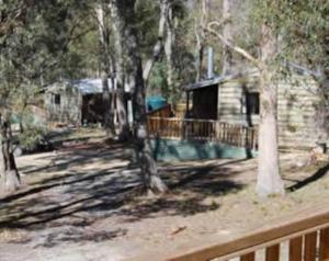 a log cabin in the middle of a forest at Gumleaves Bush Holidays in Little Swanport