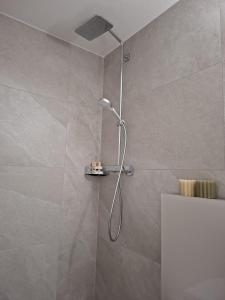 a shower with a shower head in a bathroom at Summit View Apartment in Spiez