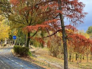 Naturlandskabet i nærheden af lejligheden + 5 billeder