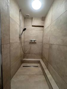 Comfort Apartment في Denkendorf: حمام مع دش مع ضوء على السقف