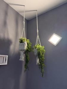 two potted plants are hanging from a wall at Inn Puglia Guest House 2 in Acquaviva delle Fonti