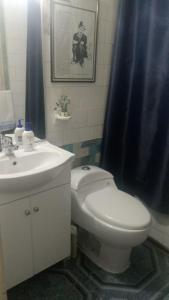 a bathroom with a toilet and a sink and a shower curtain at Apartamento Costanera in Punta Arenas
