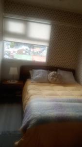 a bedroom with a bed with a window above it at Apartamento Costanera in Punta Arenas
